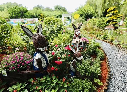 探索方集花卉,自然之美的艺术展现 探索方集花卉,自然之美的艺术展现