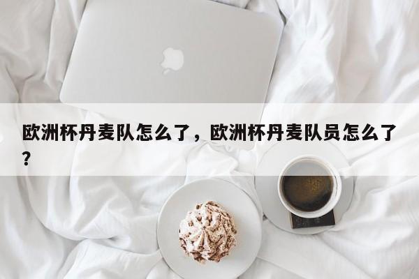 欧洲杯丹麦队怎么了,欧洲杯丹麦队员怎么了?