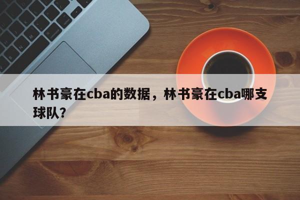 林书豪在cba的数据，林书豪在cba哪支球队？